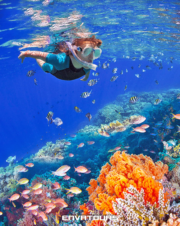 LANCHA TRANSPARENTE EN  COZUMEL - Imagen 8