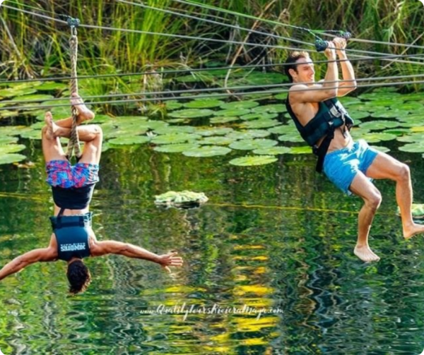 Xenotes