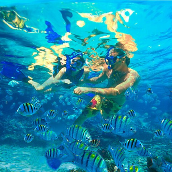 XELHA ALL INCLUSIVE - Imagen 4